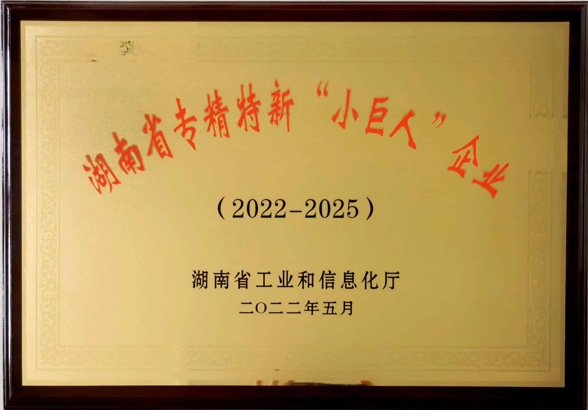 湖南省專精特新“小巨人”企業